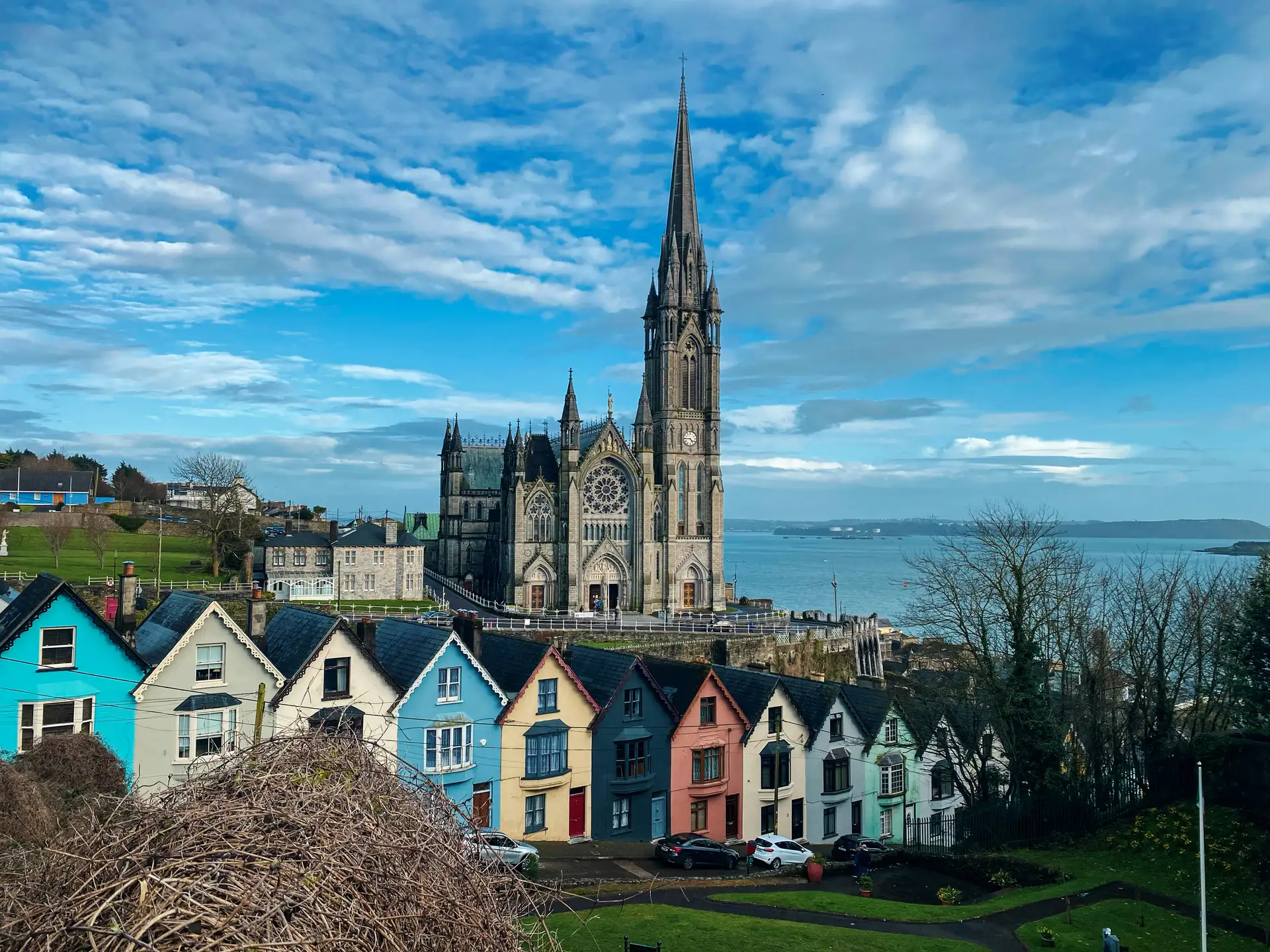 Cork image