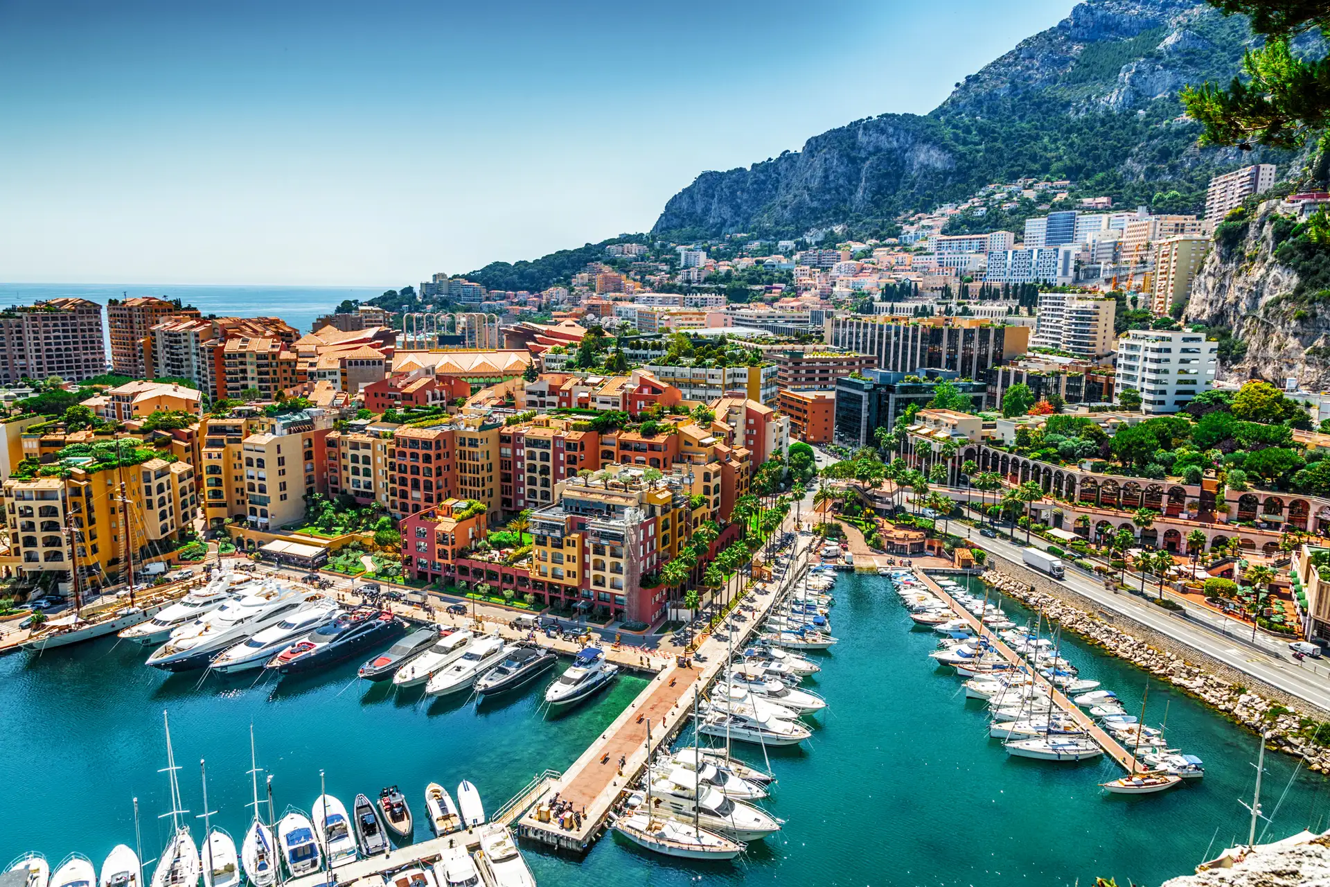 Monte Carlo image