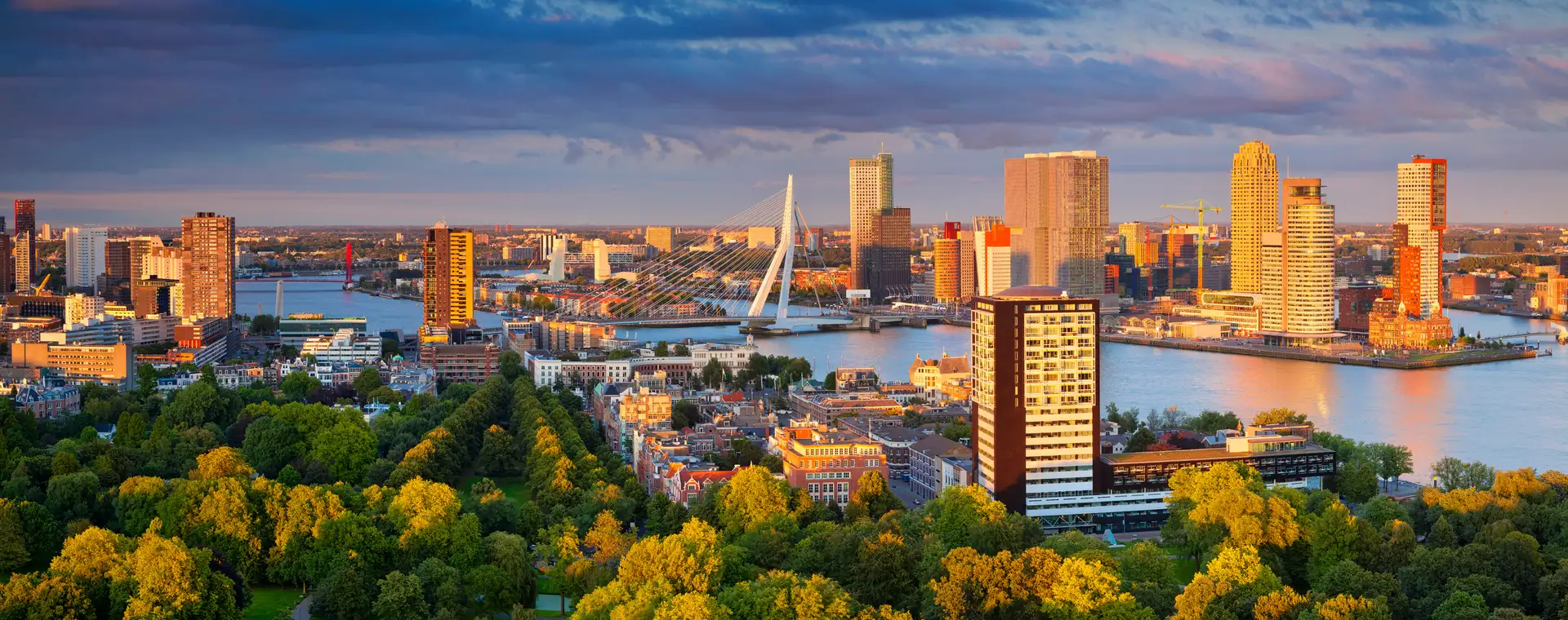 Rotterdam image