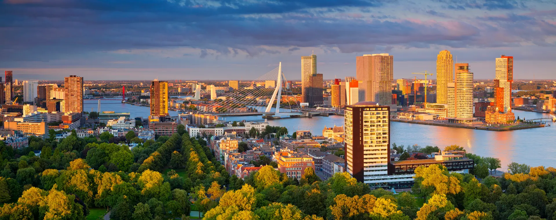 Places to visit in Rotterdam
