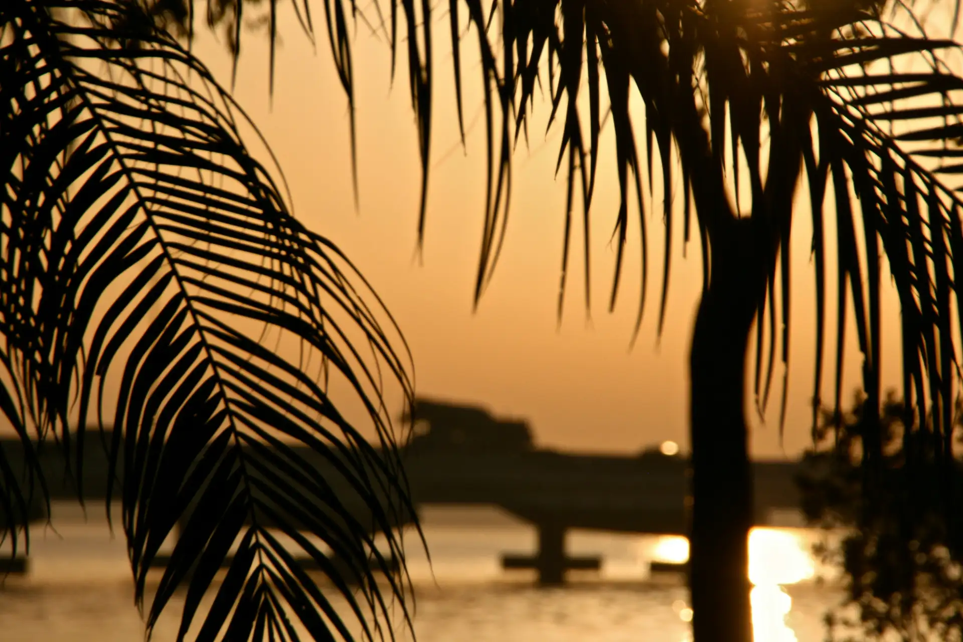Cape Coral image