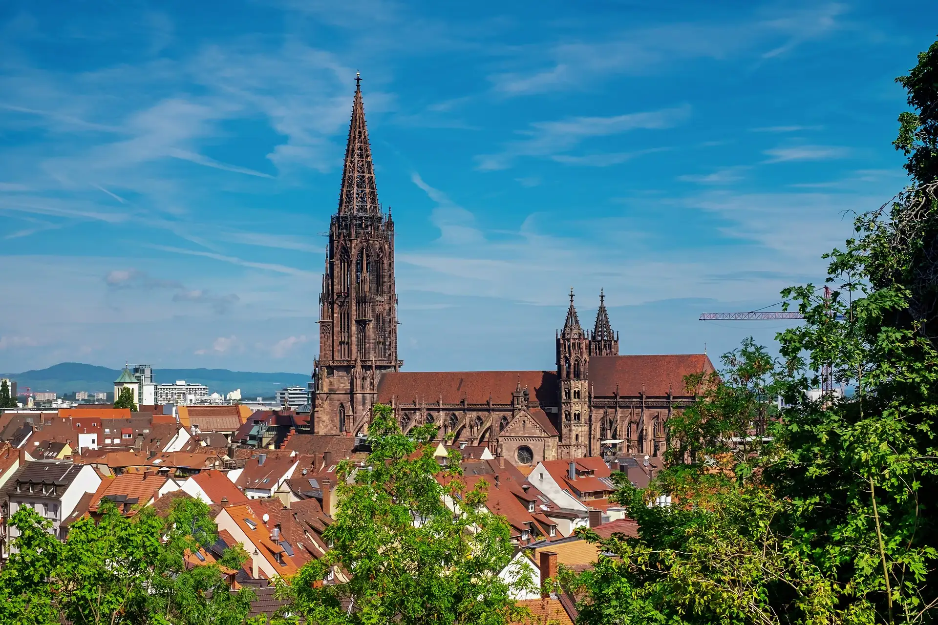 Fribourg image