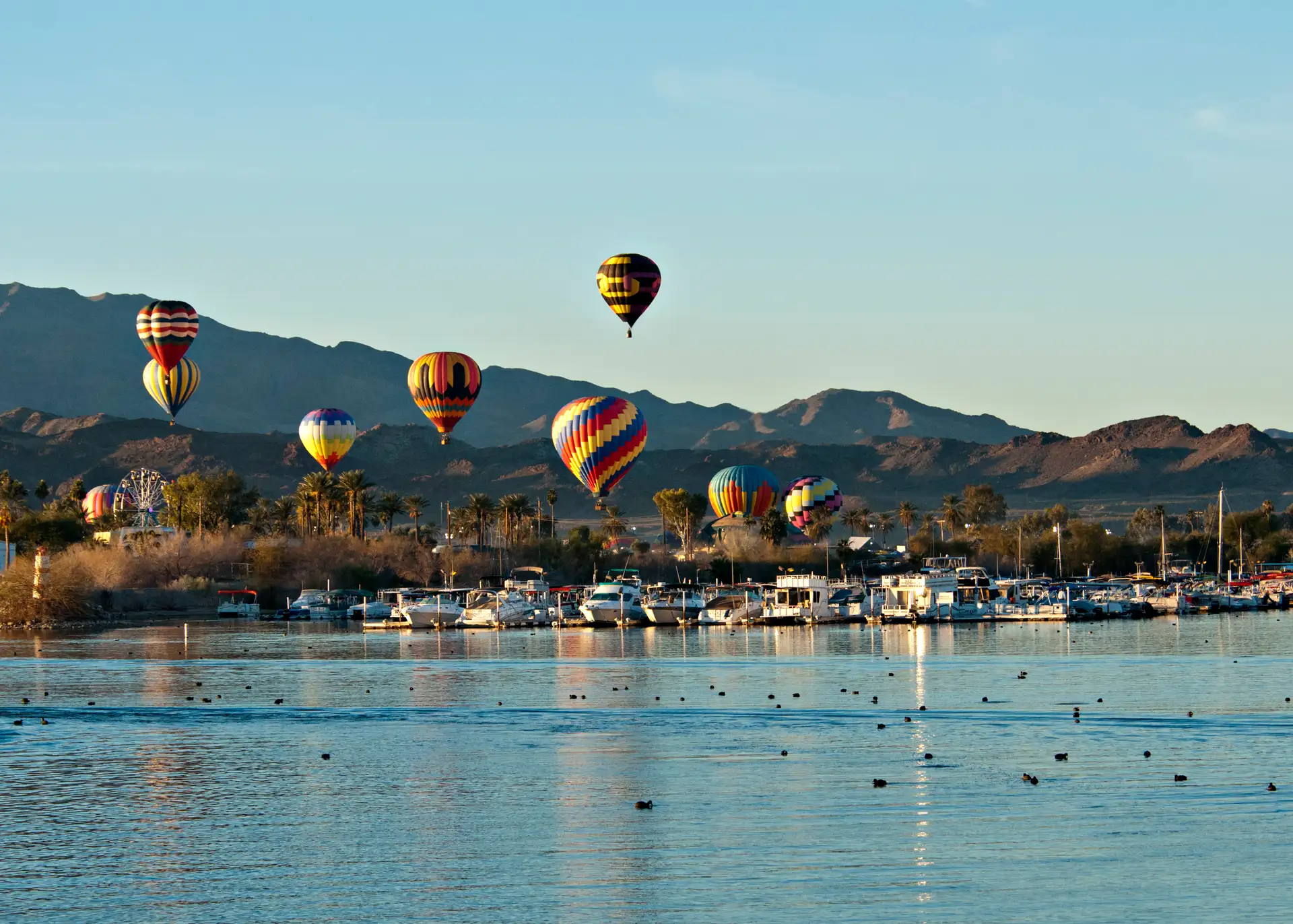 Lake Havasu City image