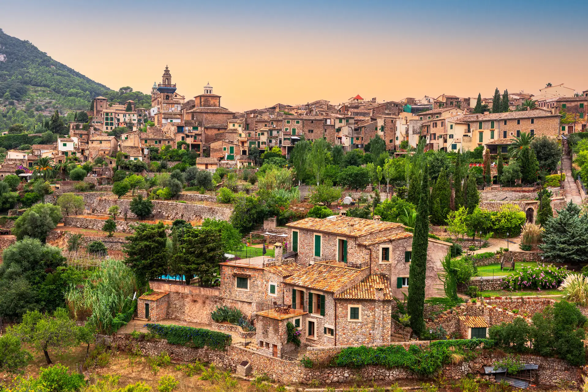 Valldemossa image