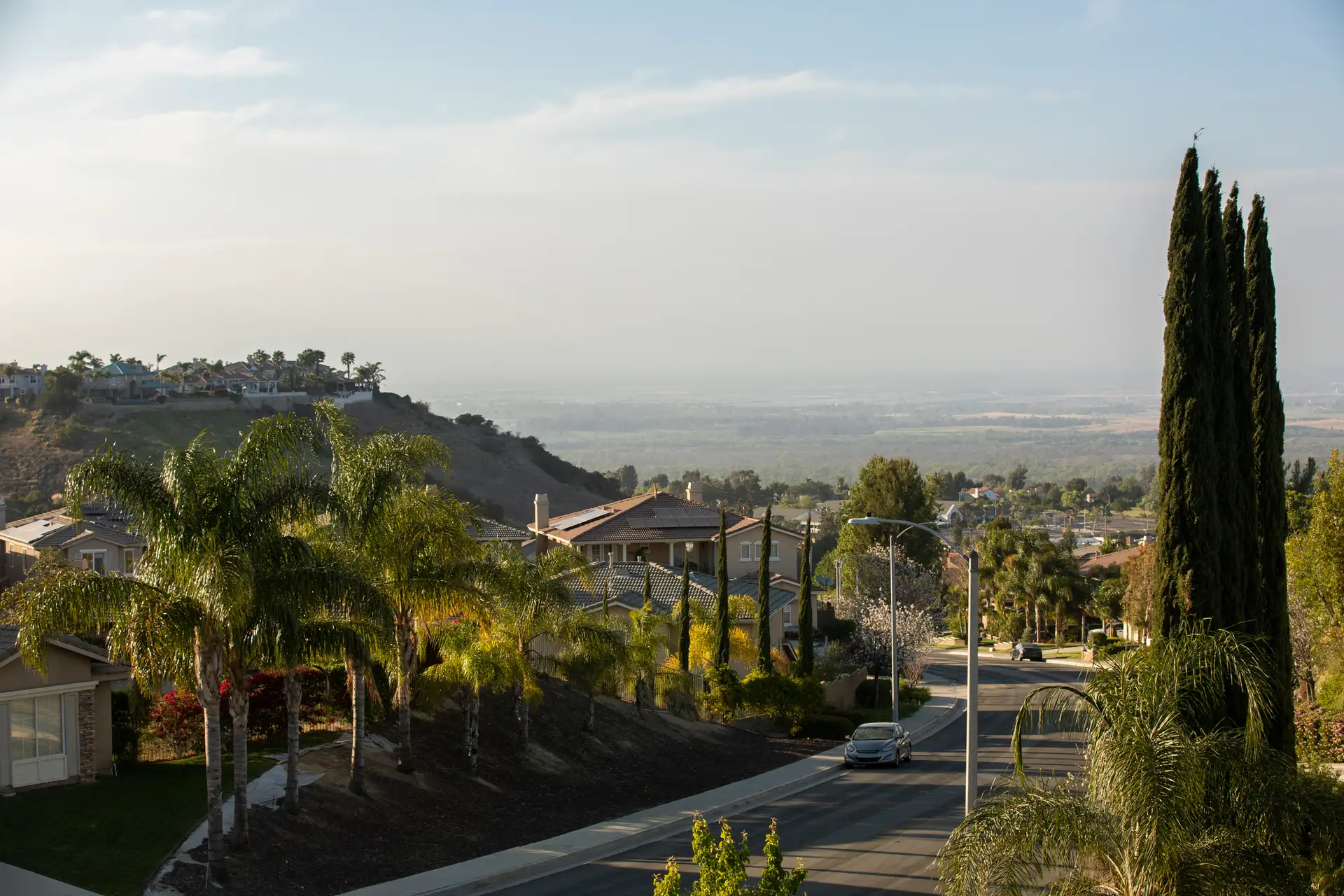 Corona image