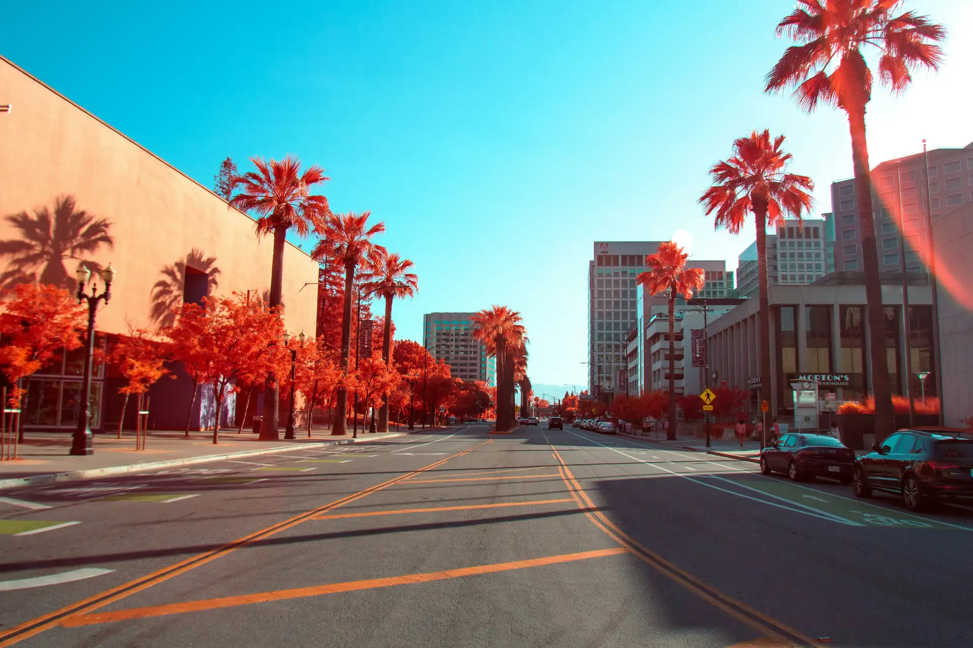 San Jose image
