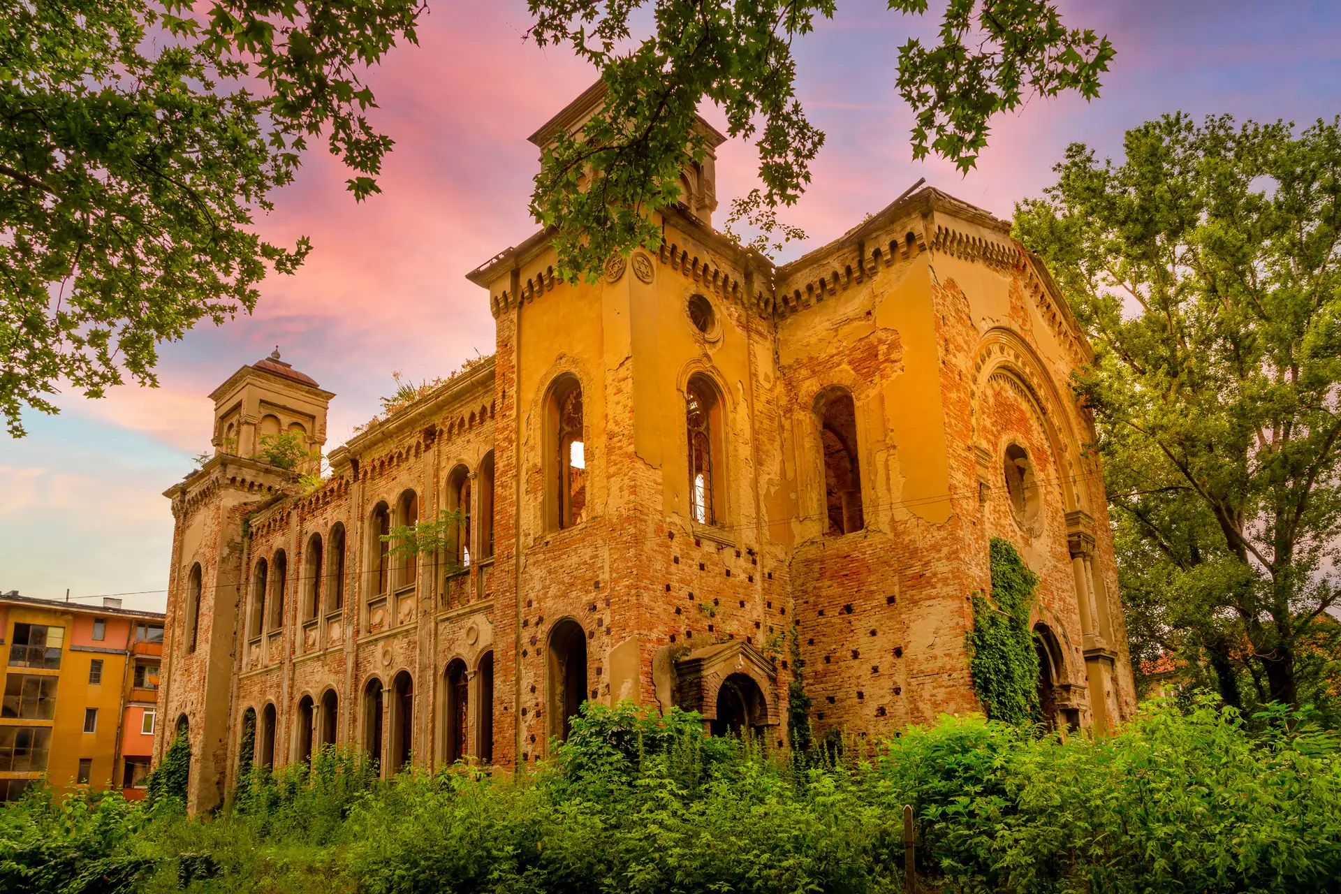 Vidin image