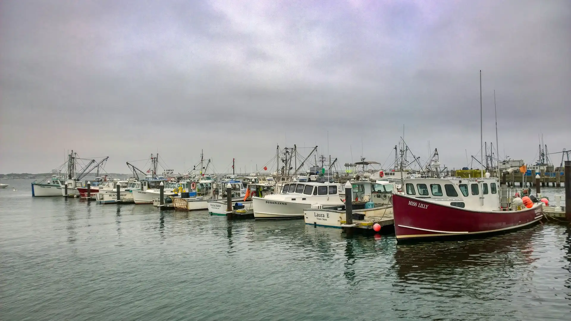 Provincetown image