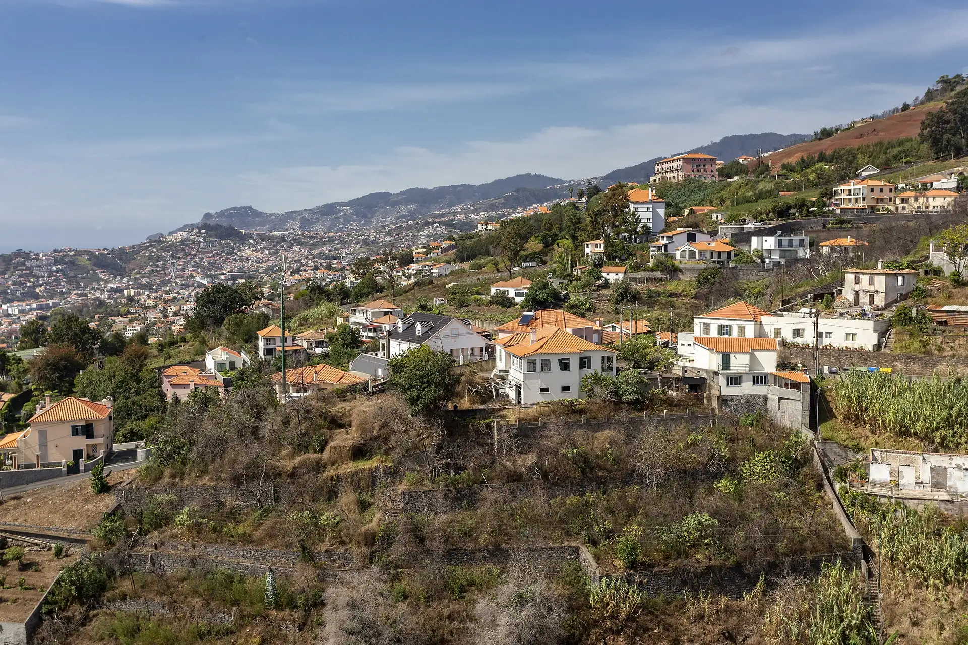 Funchal image