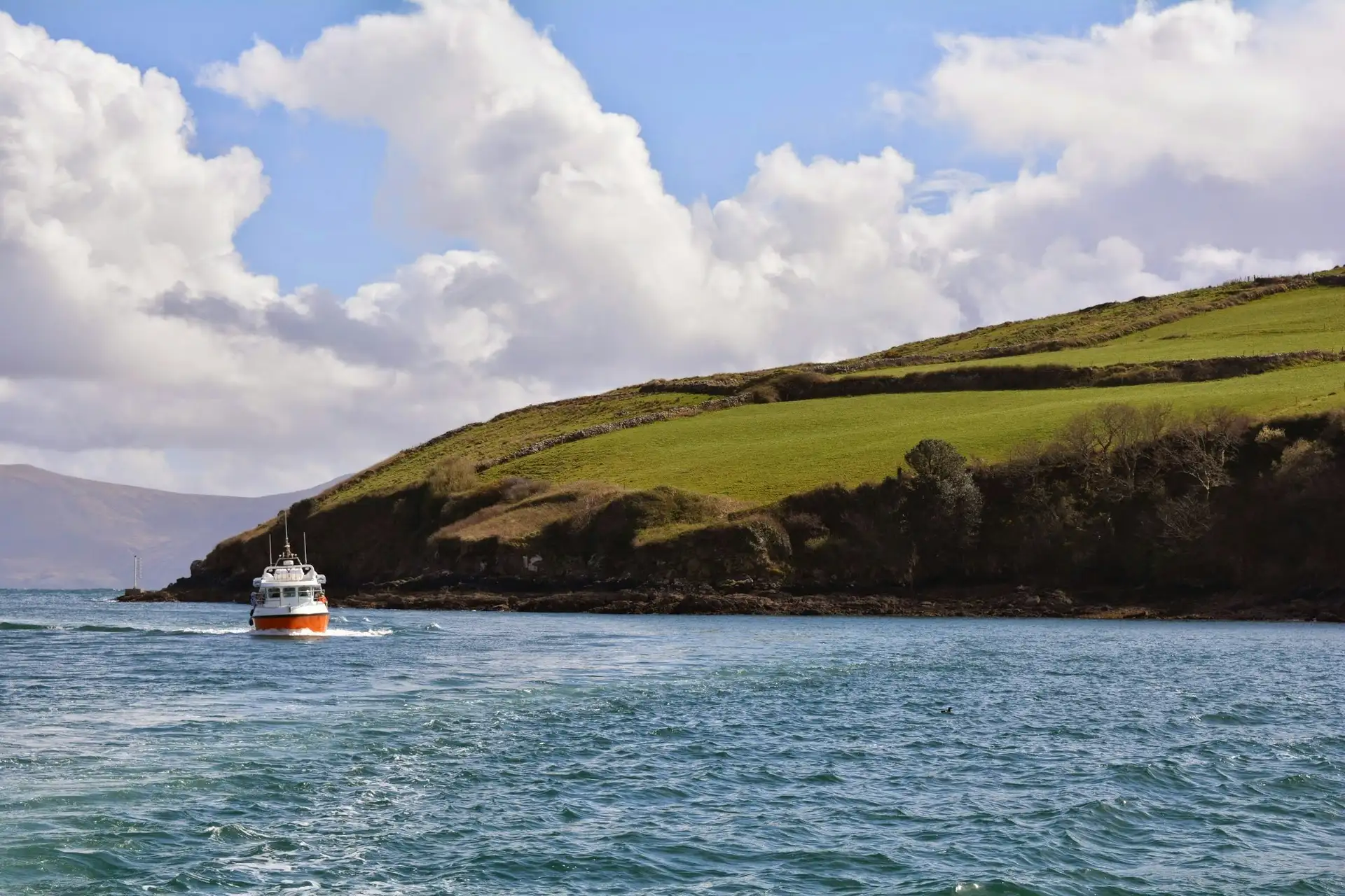 Dingle image