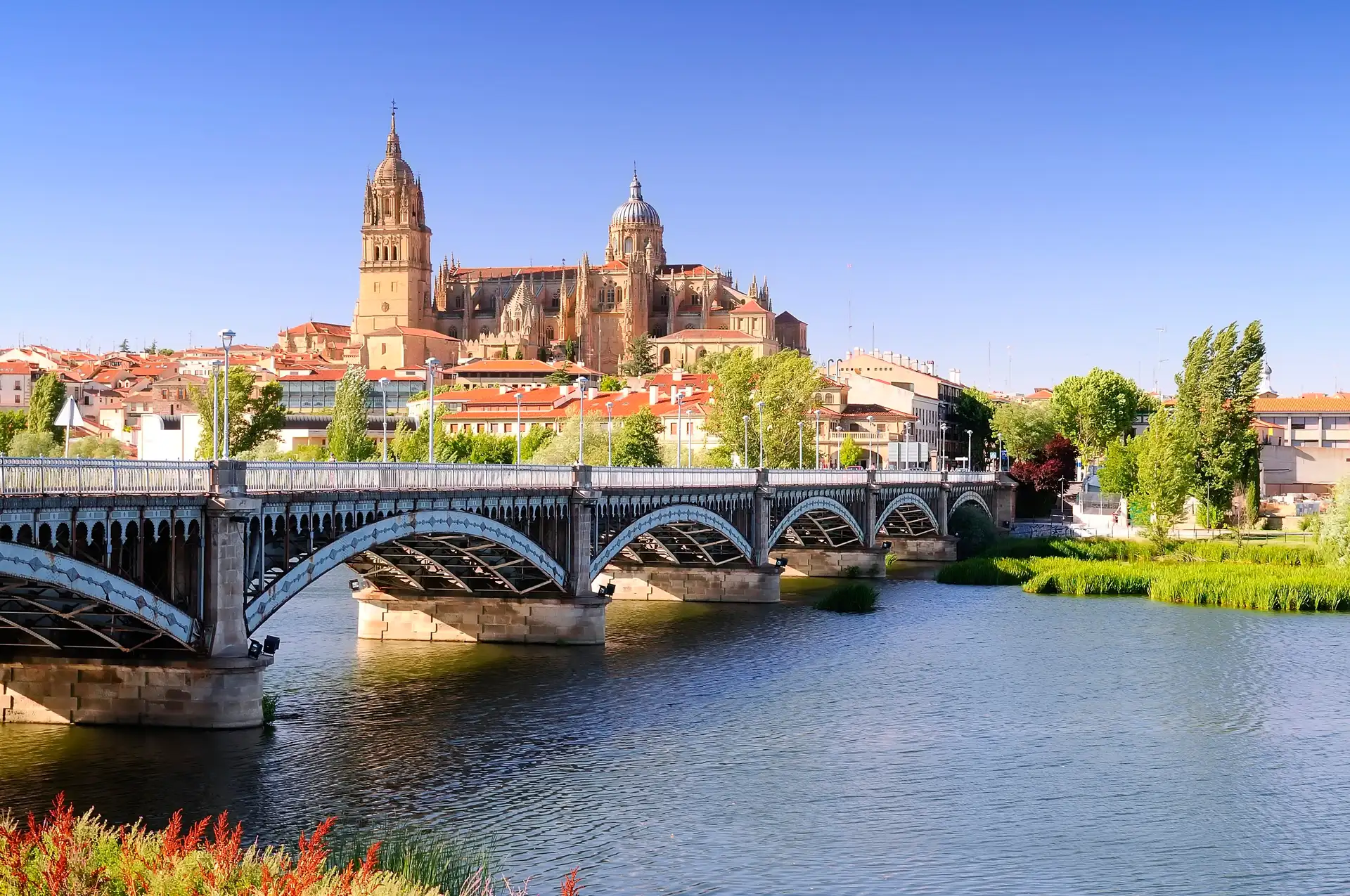 Salamanca image
