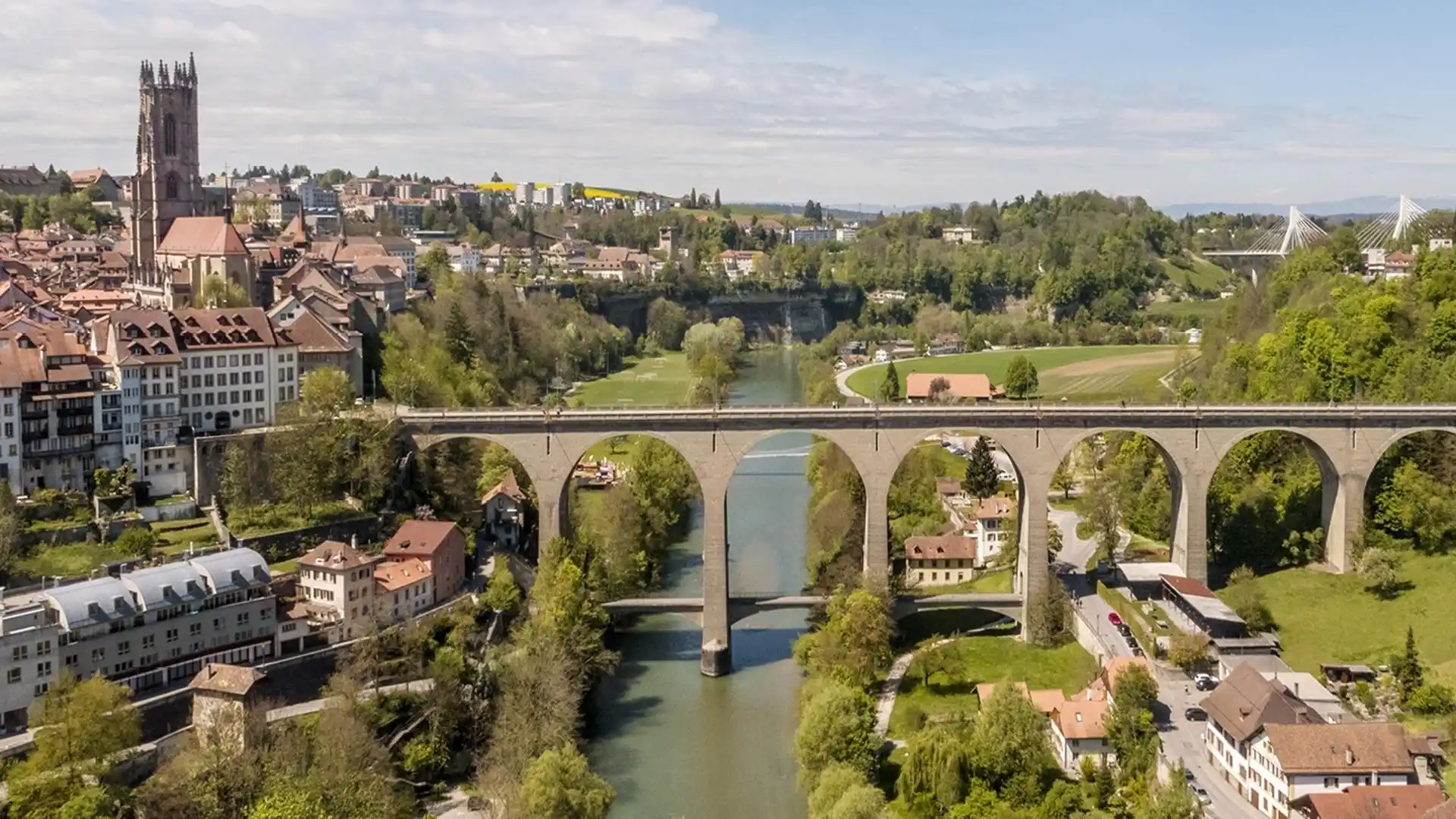 Fribourg: Hunting the flying dragon  image 1