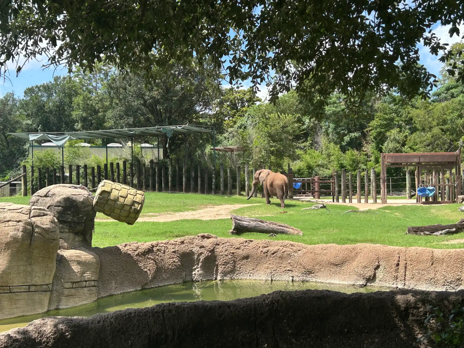 Cameron Park Zoo, Waco: The Lost Fragments image 1