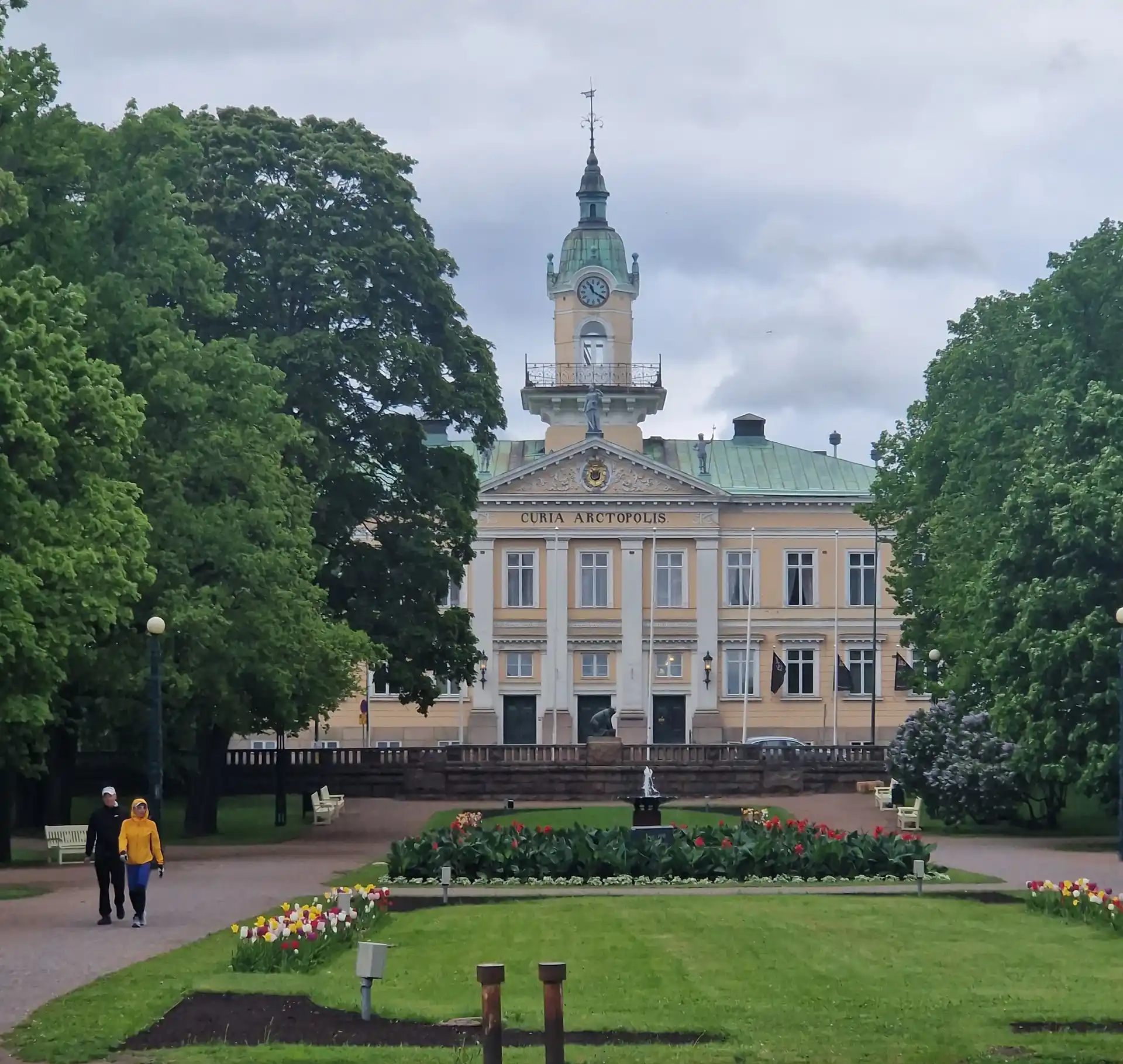 Bear hunt in Pori image 1