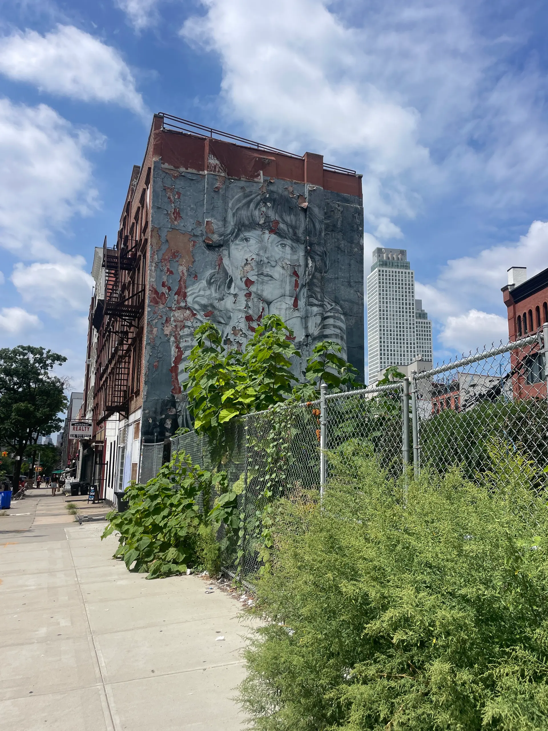 Player photo from Brooklyn, NY: Echoes of the Painted Streets walking tour in New York City