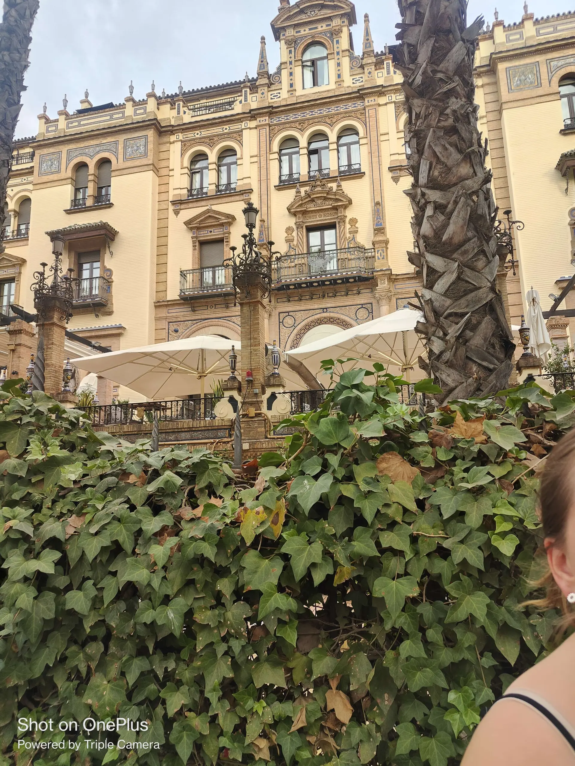 Player photo from Seville Old Town: The Inheritance walking tour in Seville
