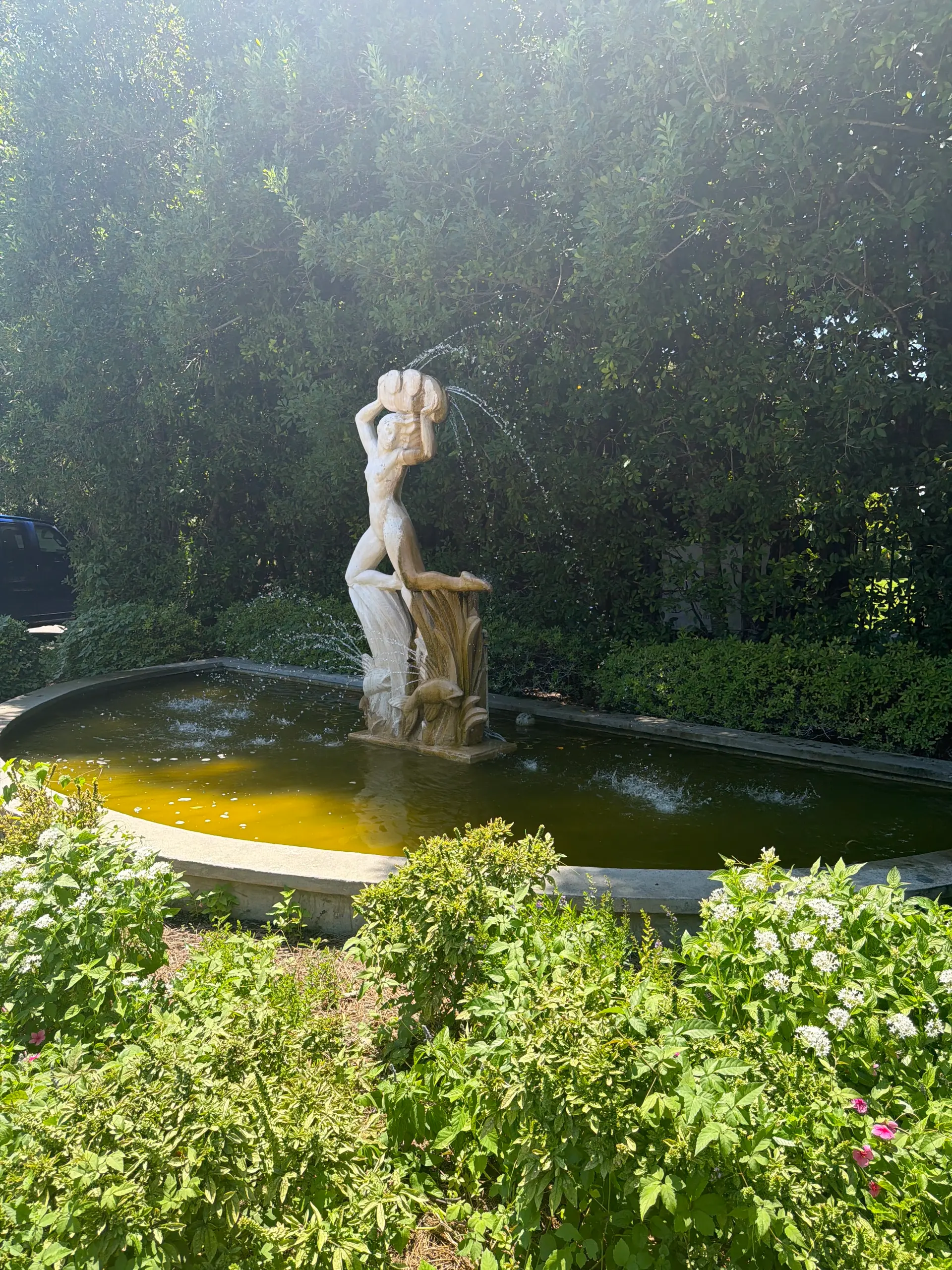 Player photo from New Orleans: City Park Adventure walking tour in New Orleans