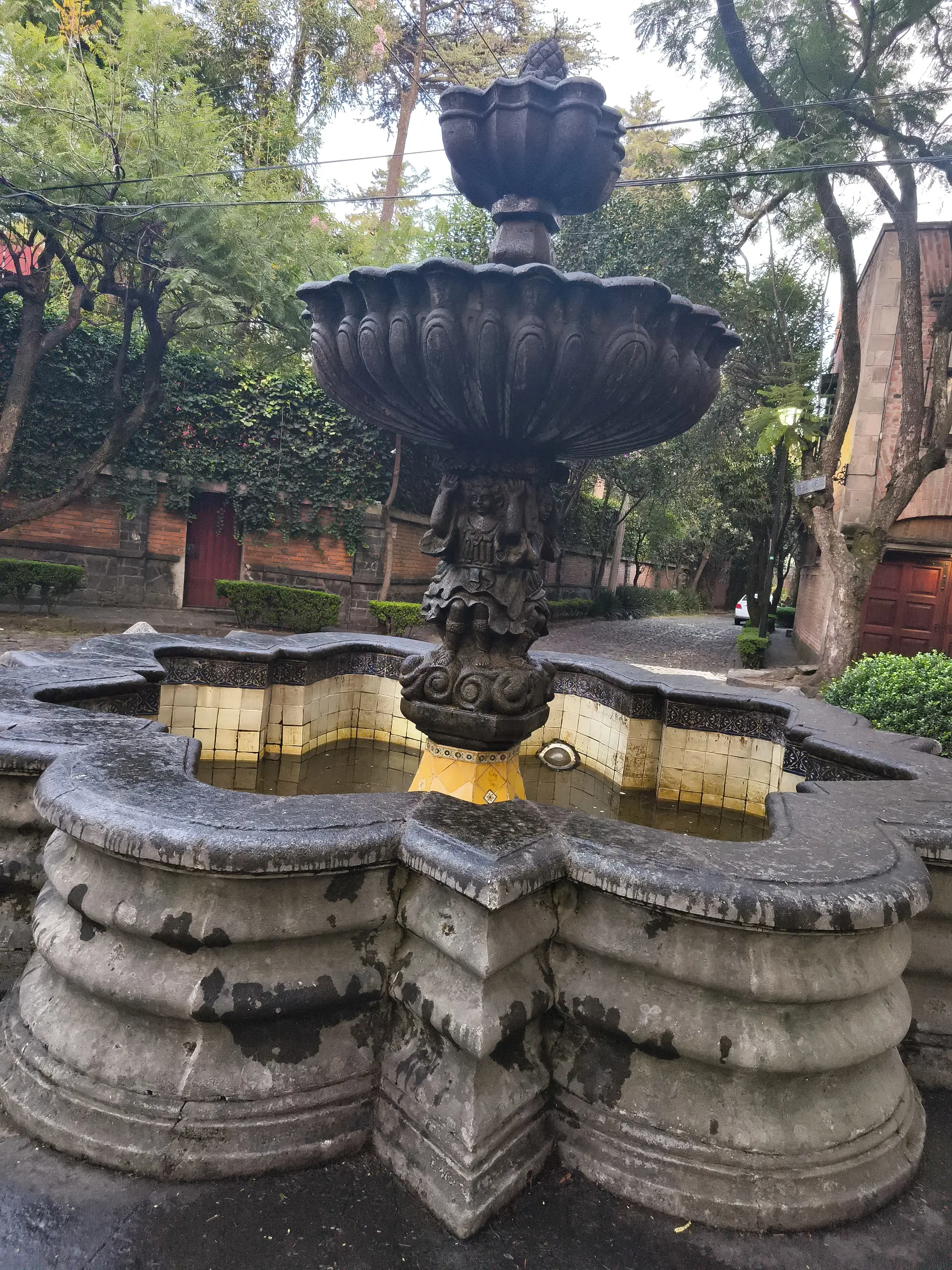 Player photo from Hidden Gems of Mexico City walking tour in Mexico City
