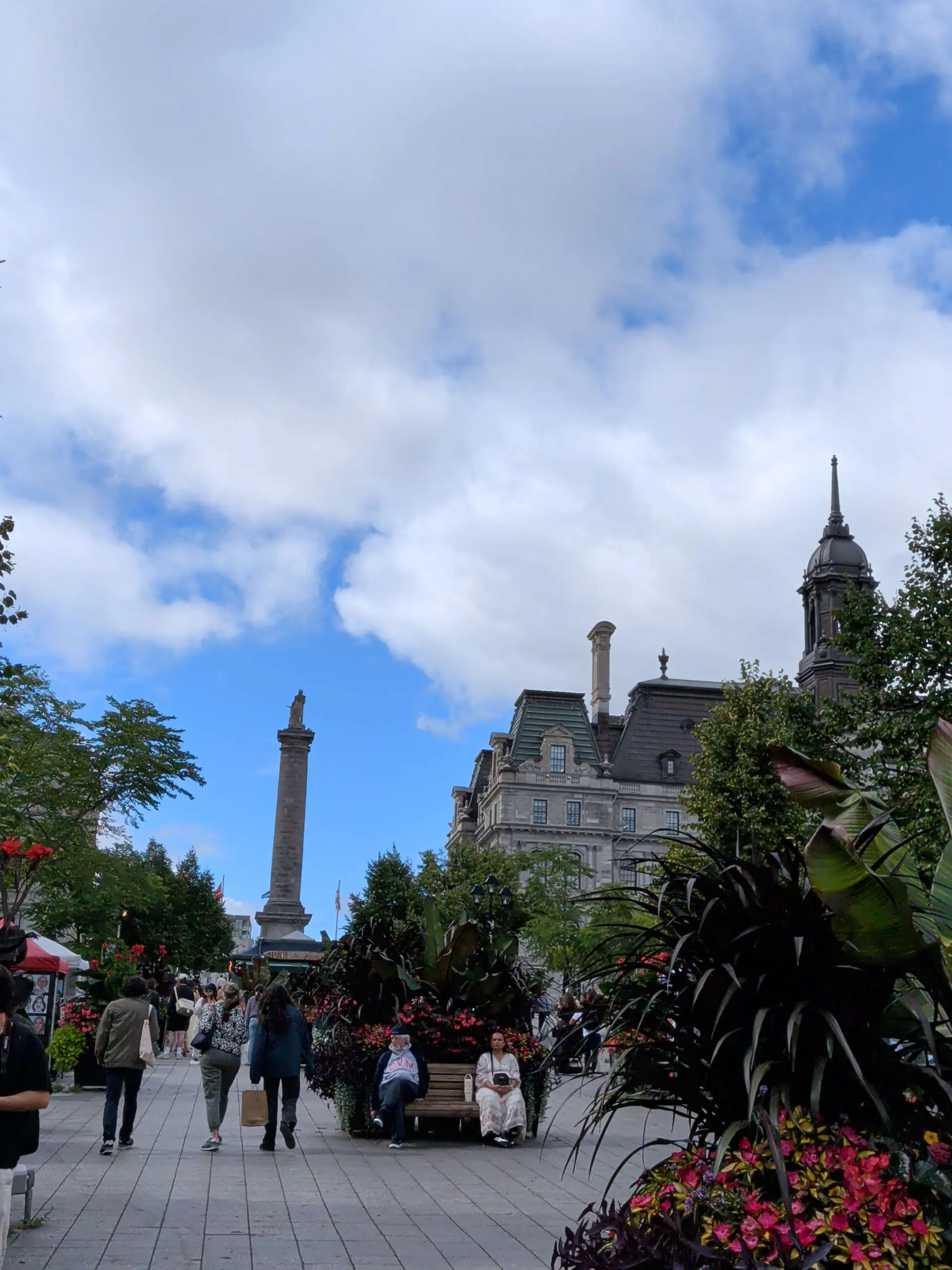 Player photo from Old Town Montreal: The Culture Tsunami walking tour in Montreal