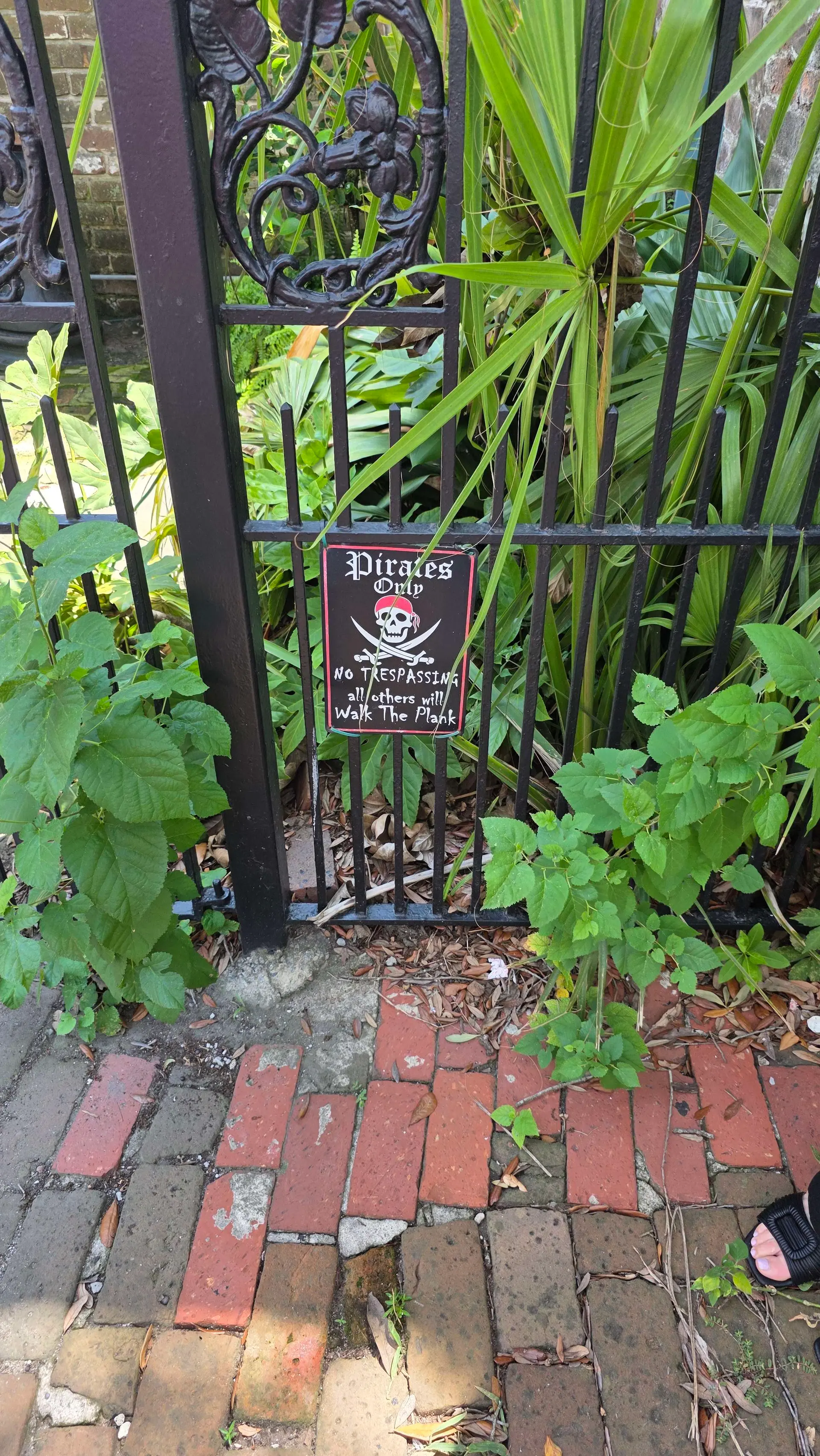 Player photo from Captured by Pirates in Savannah walking tour in Savannah