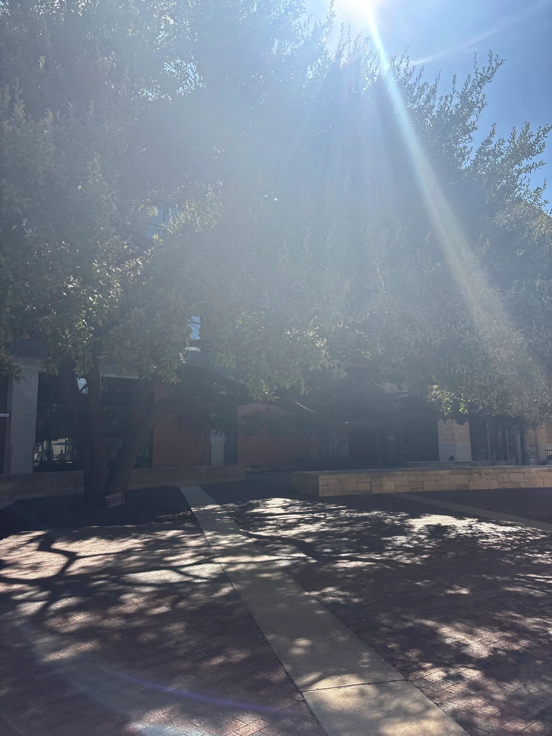 Player photo from Historic San Antonio: Pearl Mystery walking tour in San Antonio