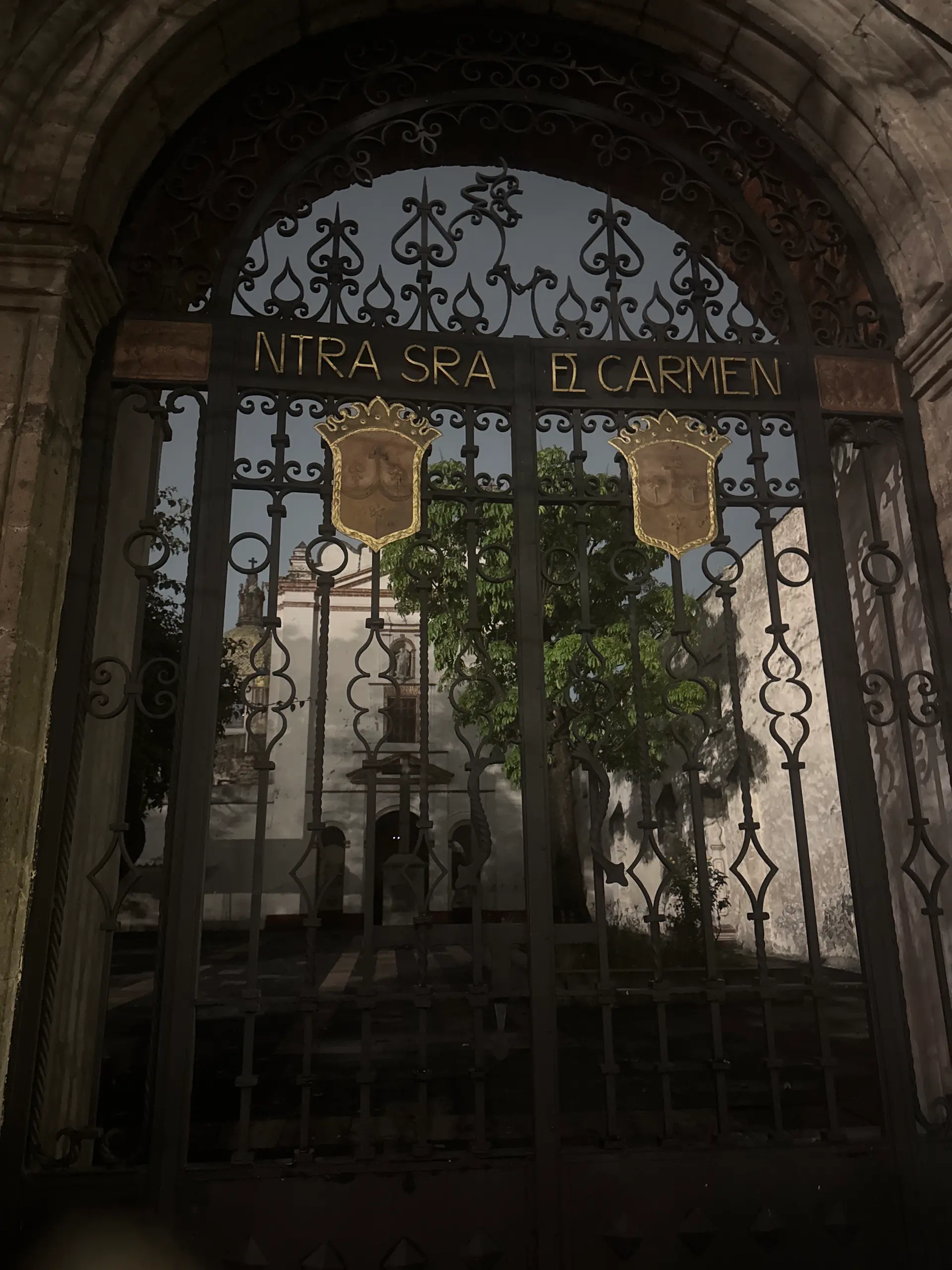 Player photo from Lost City of San Angel, Mexico City walking tour in Mexico City