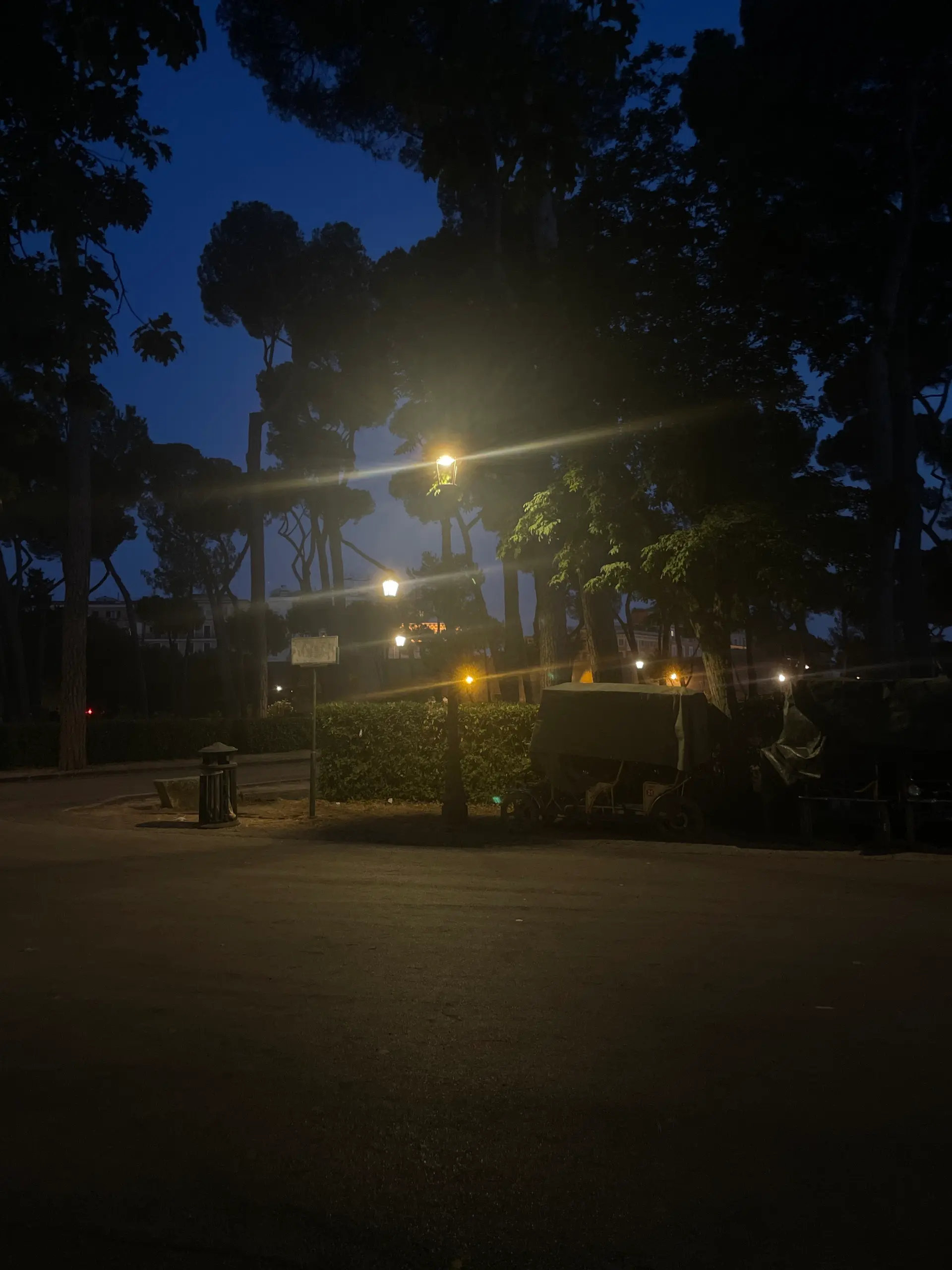 Player photo from Historical Rome: The Sad Souls of Villa Borghese walking tour in Rome