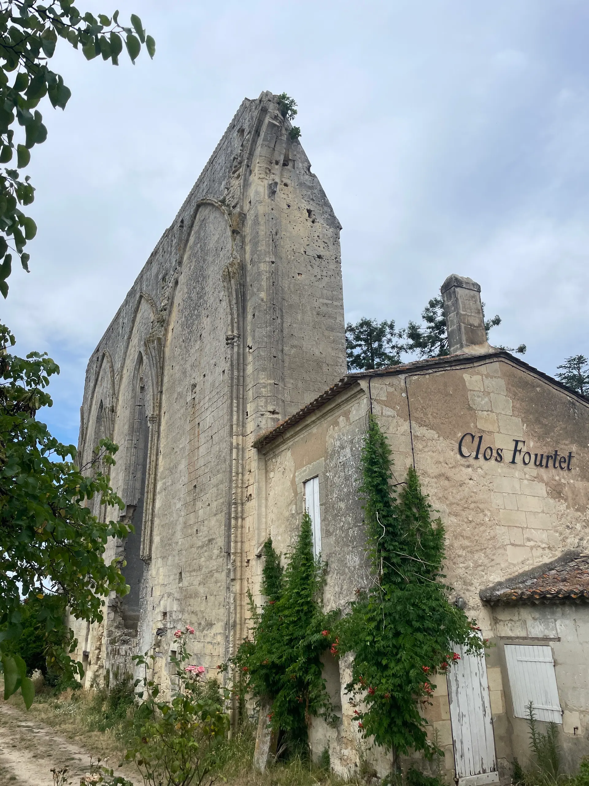 Player photo from Saint Emilion: In the footsteps of Isaac Newton walking tour in Saint-Emilion