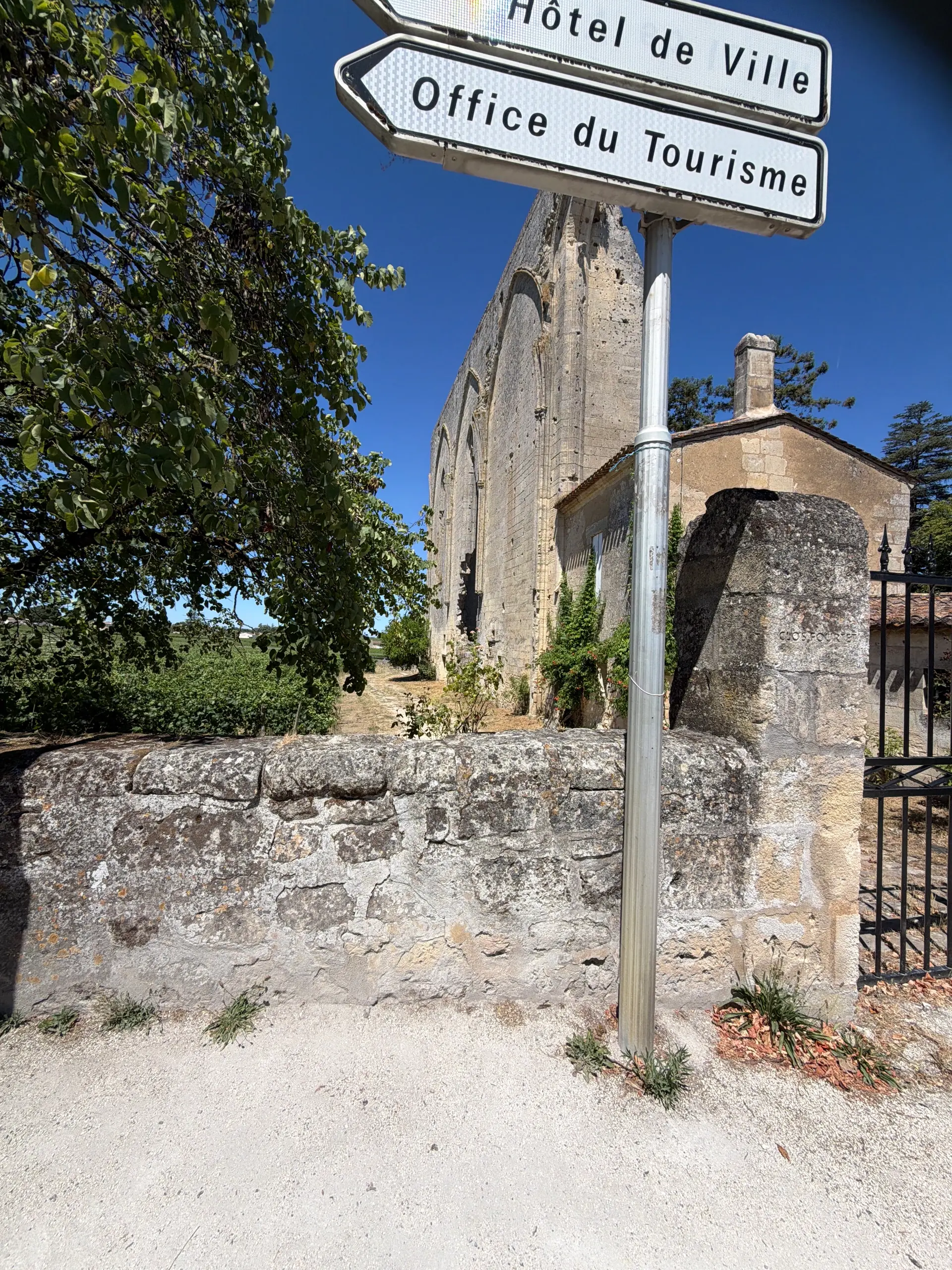 Player photo from Saint Emilion: In the footsteps of Isaac Newton walking tour in Saint-Emilion