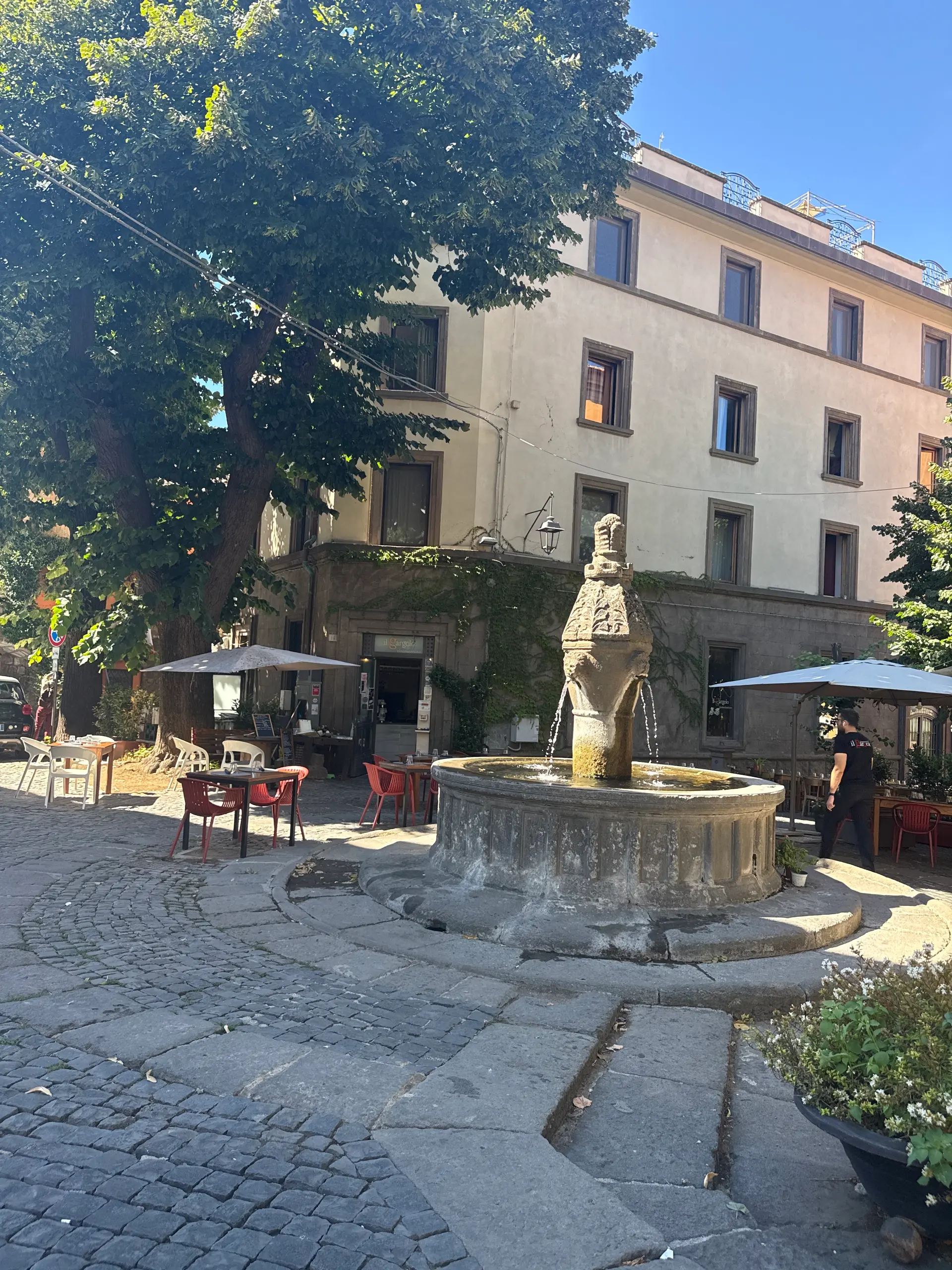 Player photo from Highlights of Medieval Viterbo: The City of Popes walking tour in Viterbo