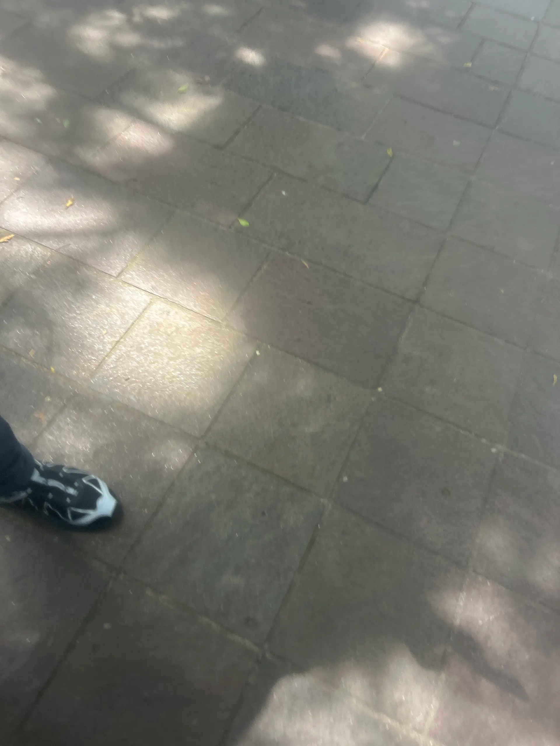 Player photo from Enigma Adventure in Coyoacán, Mexico City walking tour in Mexico City