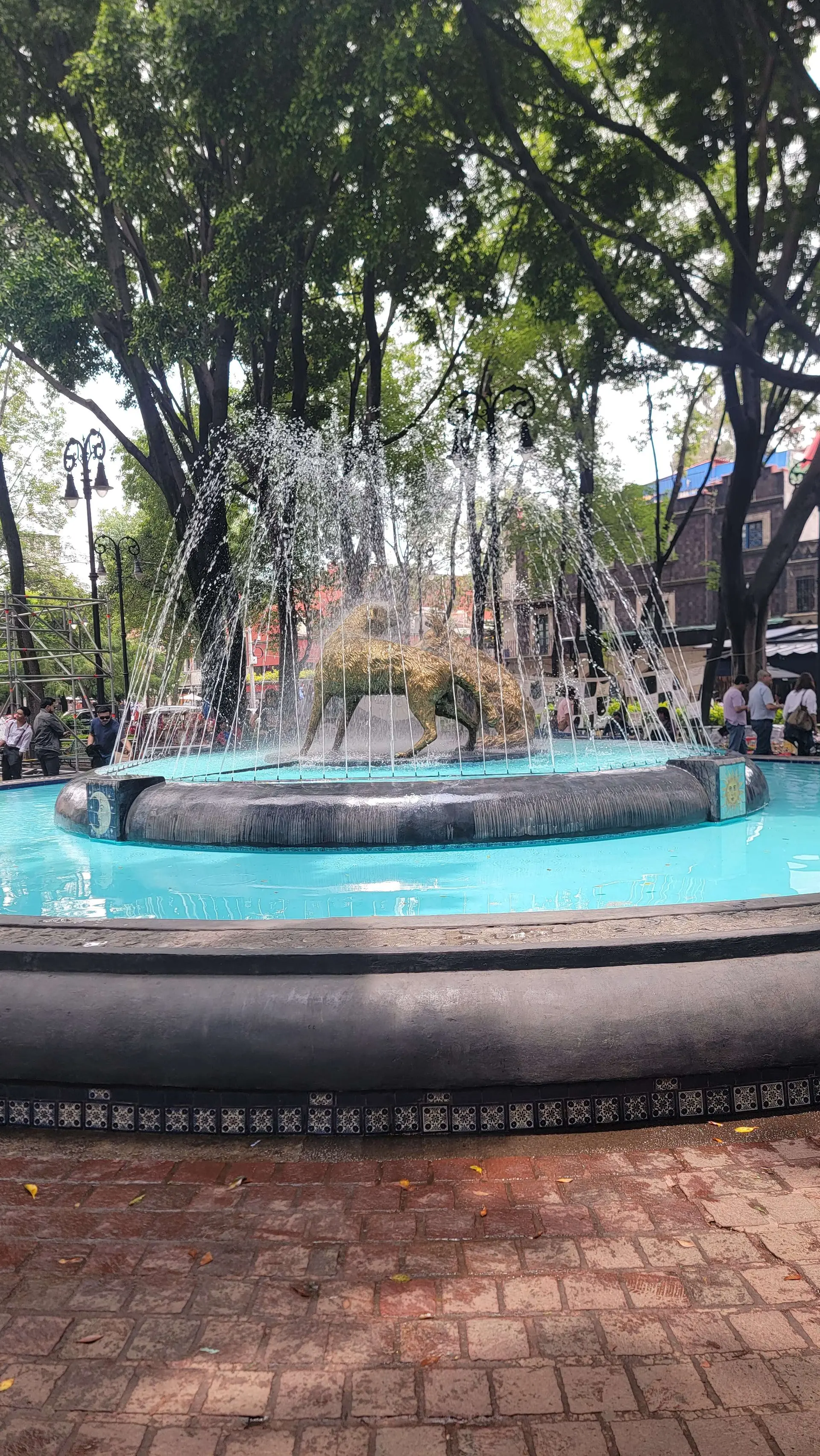 Player photo from Enigma Adventure in Coyoacán, Mexico City walking tour in Mexico City