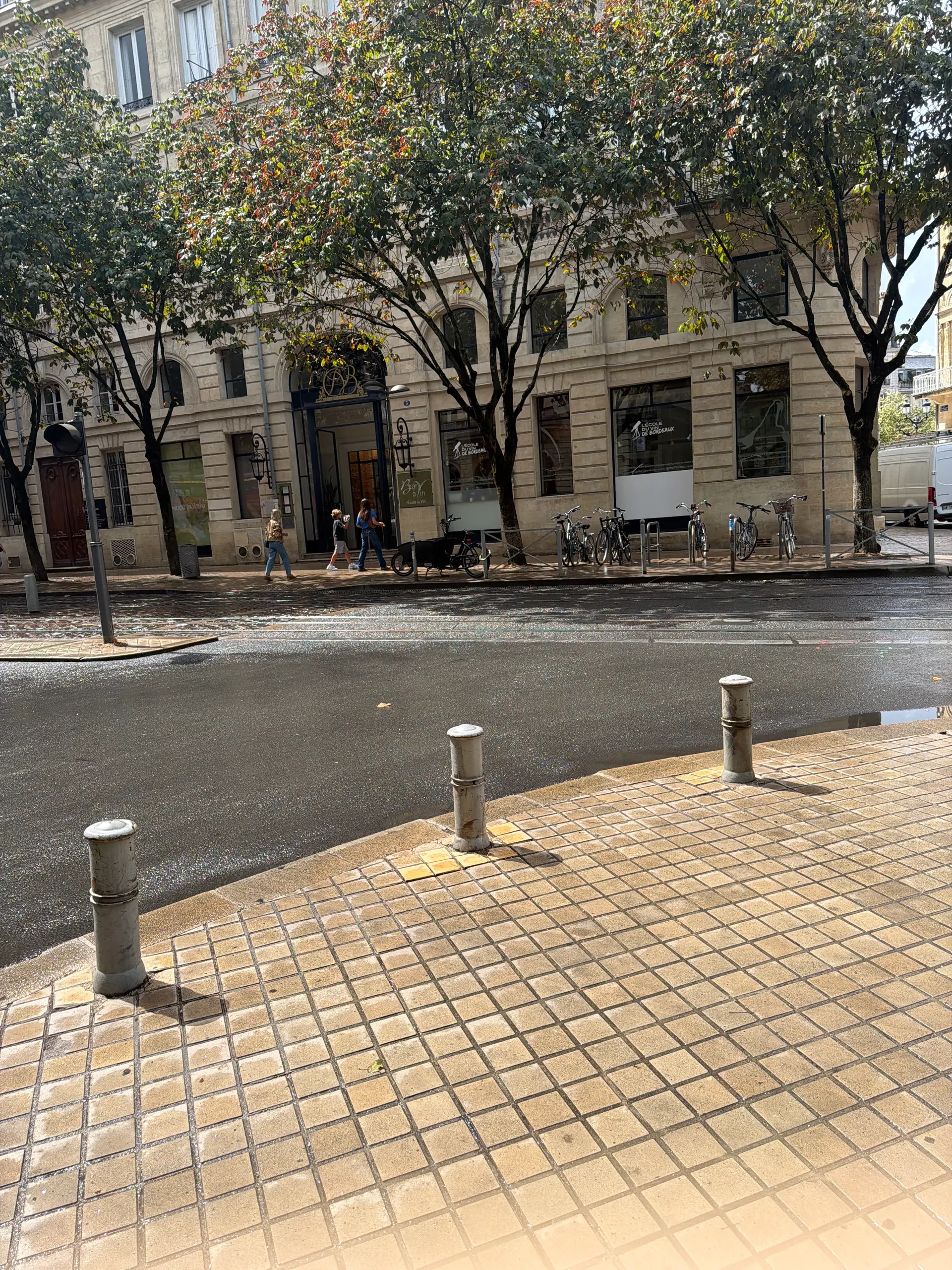 Player photo from Whispers of Wine: Exploring Bordeaux's Grand Crus walking tour in Bordeaux