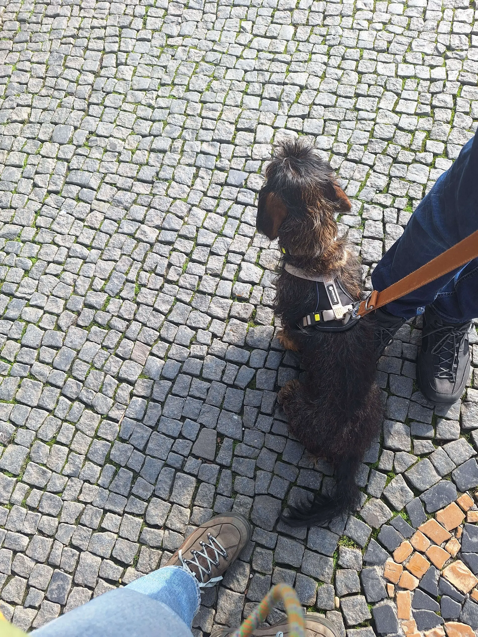 Player photo from Charlemagne's Legacy - Aachen City Escape walking tour in Aachen
