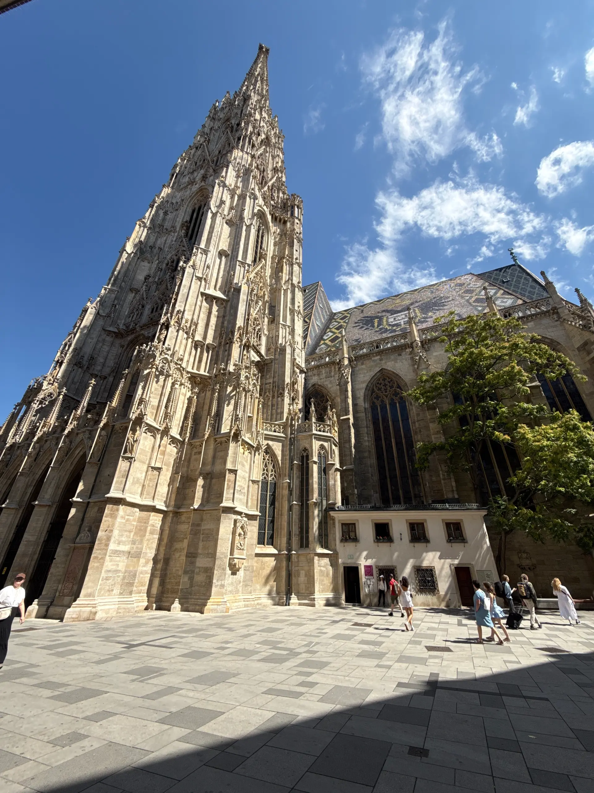 Player photo from Vienna, Oida! – A Local’s Guide to Hidden Sights, Bars & Legends walking tour in Vienna