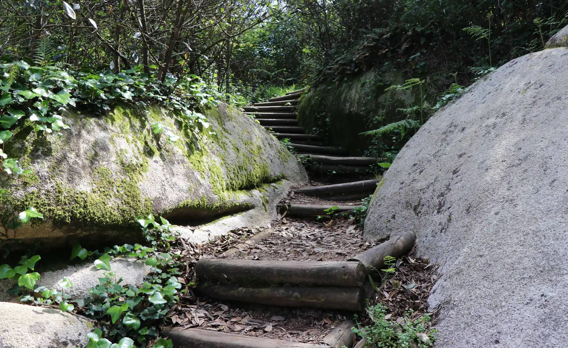 Highlights of Sintra image 1