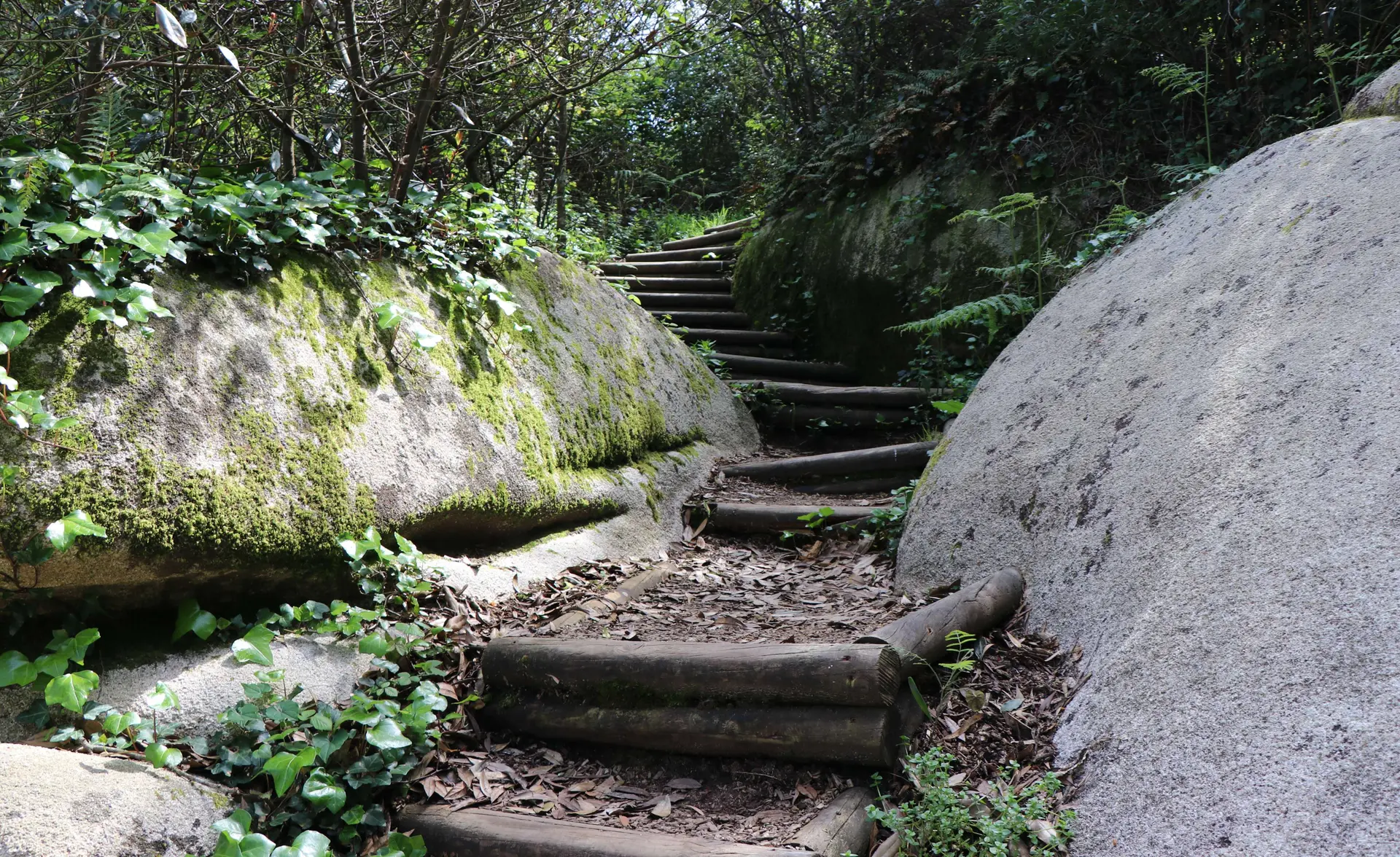 Highlights of Sintra